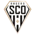 Angers logo